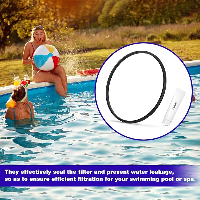 DEX2422Z2 Filter Seal O-Ring Gasket - Image 7