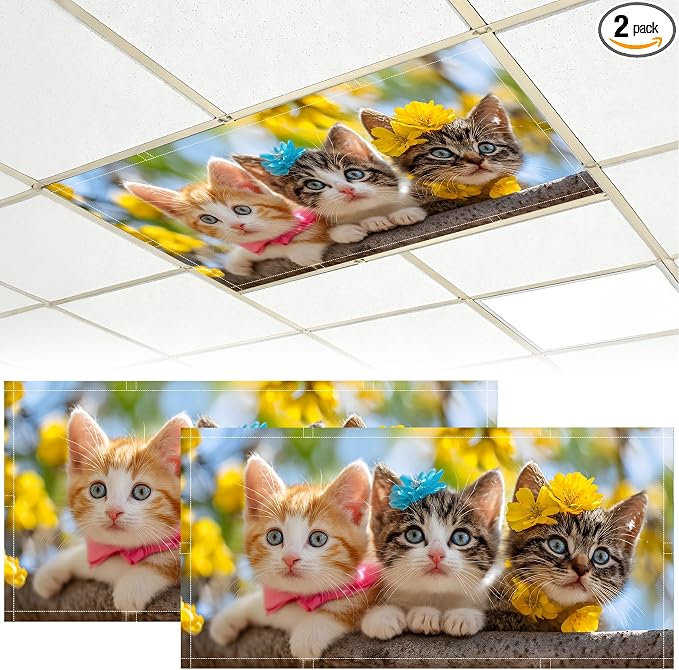 2 Pack Fluorescent Light Covers by BVBOX