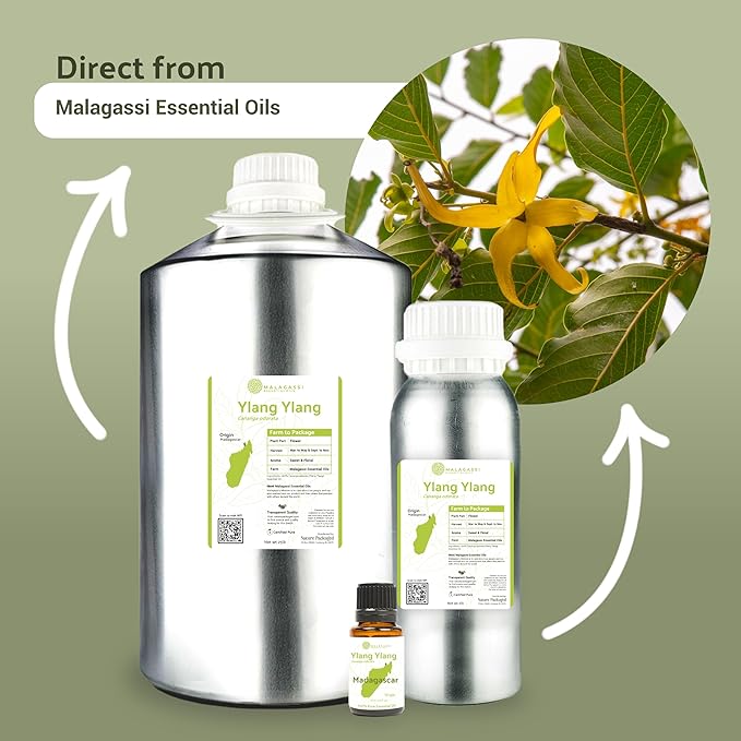 Ylang Ylang Essential Oil - Direct from Malagassi Essential Oils Madagascar - Steam Distilled - Aceite de Ylang Ylang for Aromatherapy, Diffuser, DIY Candle and Soap Making - 2lbs