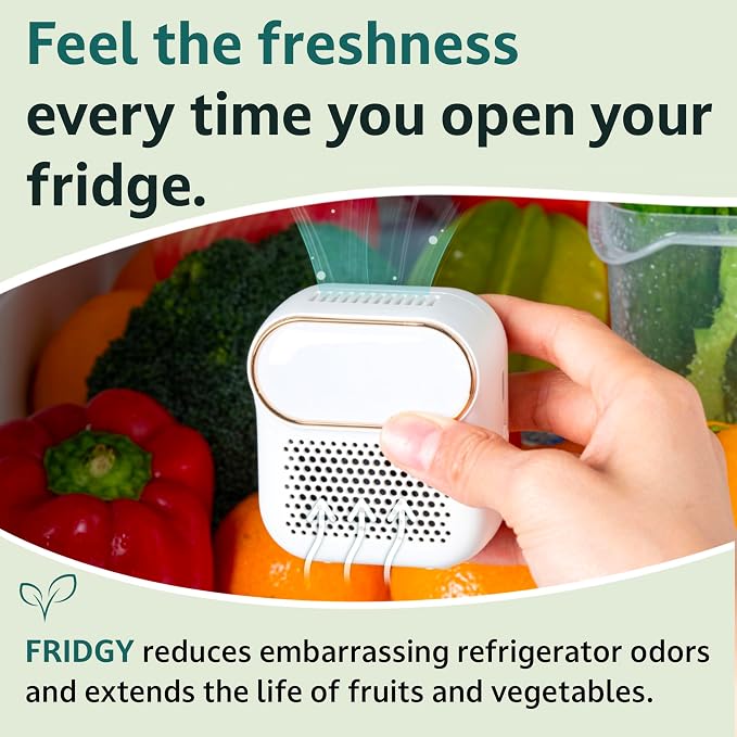 Fridge Air Purifier | Keeps Fridge Odor-Free & Produce Fresh Longer | Compact - Image 2