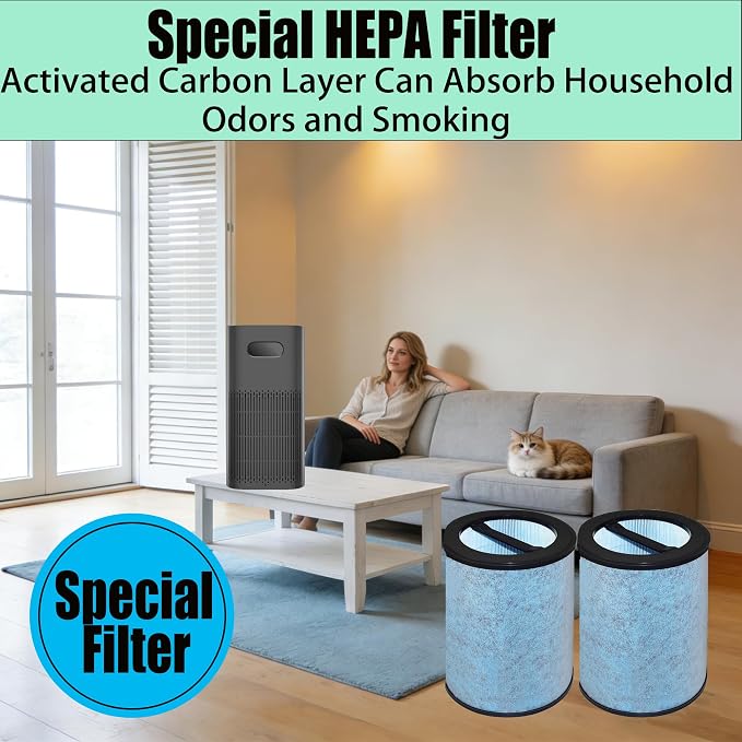 Special HEPA Filter Replacement - Image 5