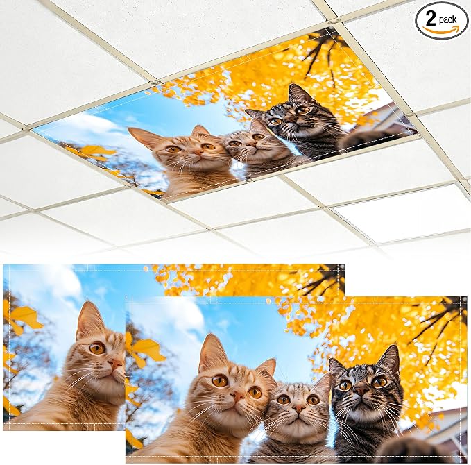 2 Pack Fluorescent Light Covers by BVBOX