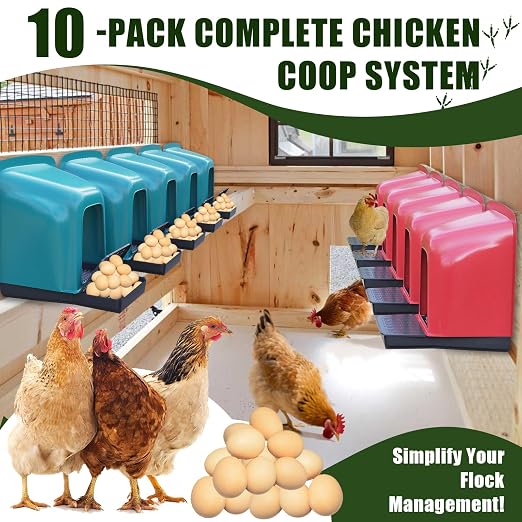Nesting Boxes for Chickens - Image 5