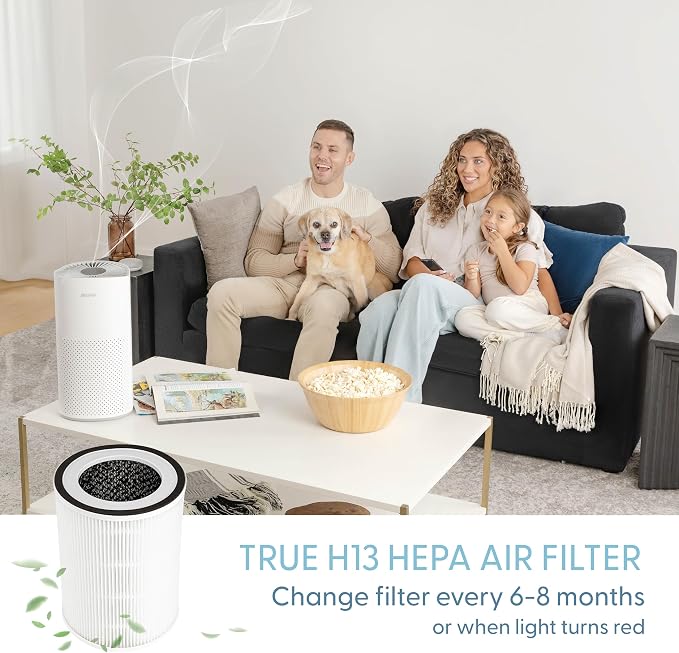 HEPA Replacement Filter - Image 4