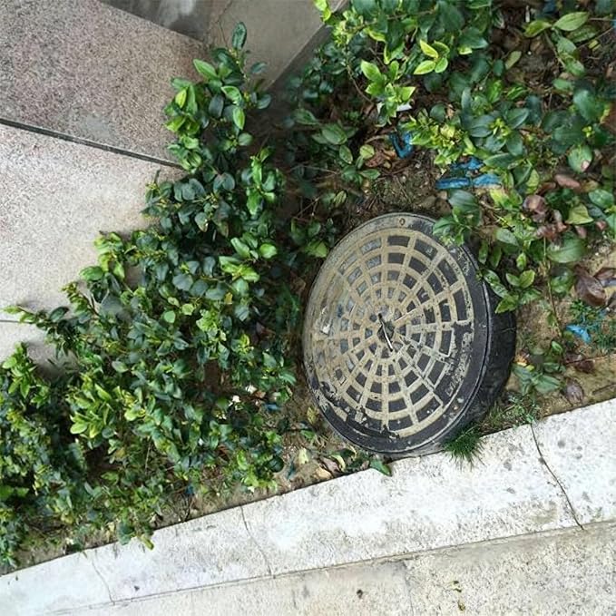 Septic Tank Lids, Manhole Cover - Image 7