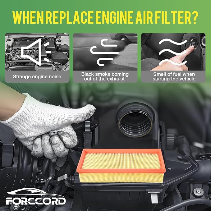 Cabin Air Filter and Engine Air Filter Fits - Image 7