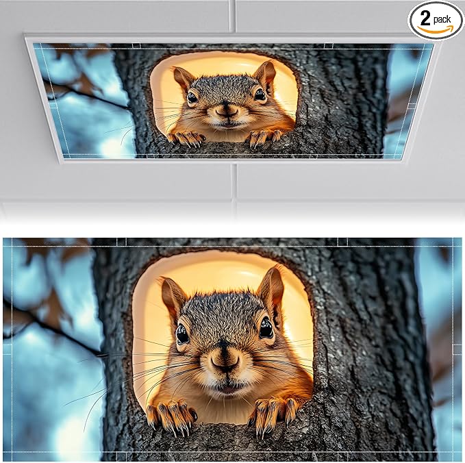2 Pack Fluorescent Light Covers 4x2 ft Magnetic Light Covers by seewan
