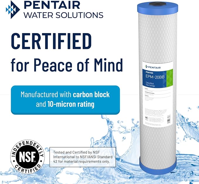 Pentair Pentek EPM-20BB Big Blue Carbon Water Filter, Whole House Modified - Image 3