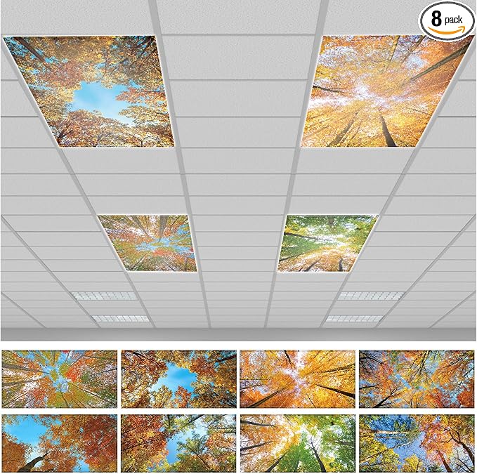 QOUBAI 8PCS Fluorescent Light Covers, 4x2 Feet Magnetic Light Cover Fluorescent by QOUBAI
