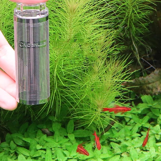 Aquariums Water Filter Stainless Steel Mesh Guard Media Cover Accessories Fish - Image 8