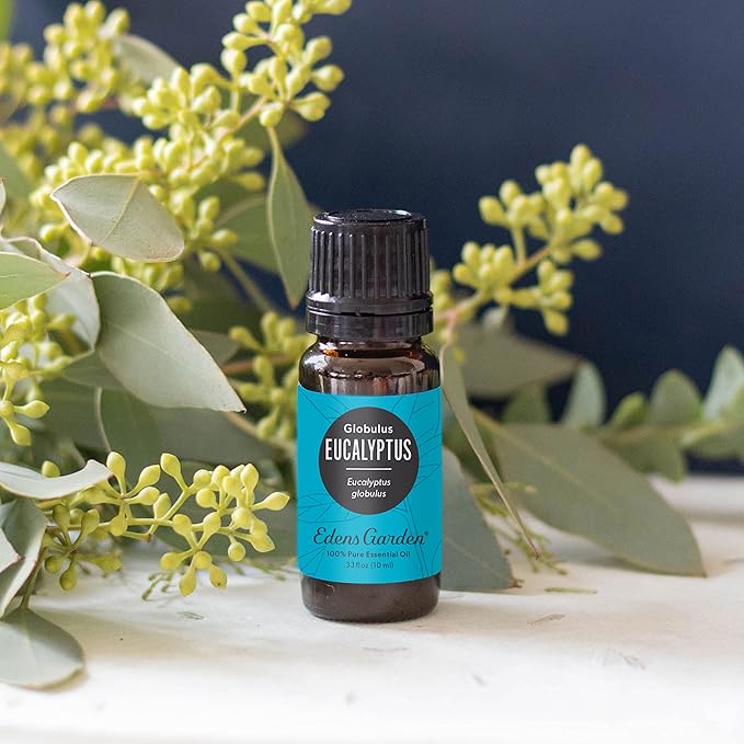 Edens Garden Eucalyptus-Globulus Essential Oil- 100% Pure Premium Grade, Undiluted, Natural, Therapeutic, Aromatherapy, The Best for Diffuser, Candle, Hair, Humidifiers 118 ml (4 fl oz)