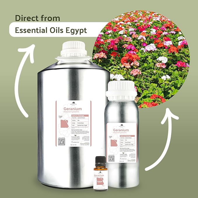 Geranium Essential Oil - Direct from Egypt Nile Delta - Pure Essential Oils for Body, Skincare & Balance - Natural Aceite de Geranio - 100% Pure Therapeutic Grade - 8oz