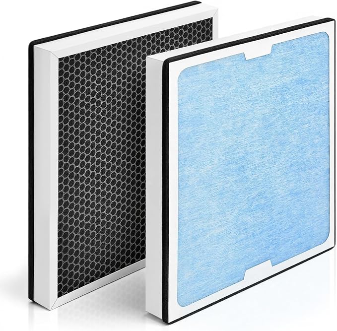 2-in-1 HEPA Activated Carbon Filter Replacement by Ritzephyria