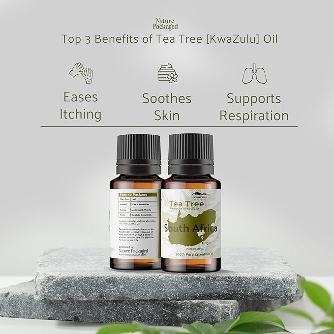 Tea Tree Essential Oil - Direct from Kwazulu Botanicals South Africa - Steam Distilled - Aceite Esencial de Árbol de Té for Aromatherapy, Diffuser, DIY Candle and Soap Making - 15ml