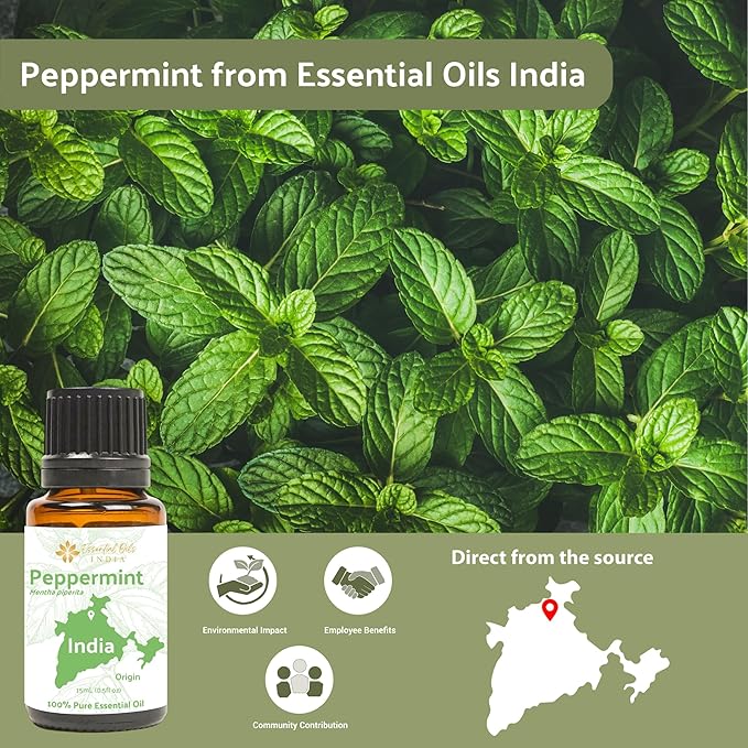 Peppermint Essential Oil - Direct from Norex Flavours India - Steam Distilled - Aceite Esencial de Menta for Aromatherapy, Massage, Diffuser, DIY Candle and Soap Making - 2lbs