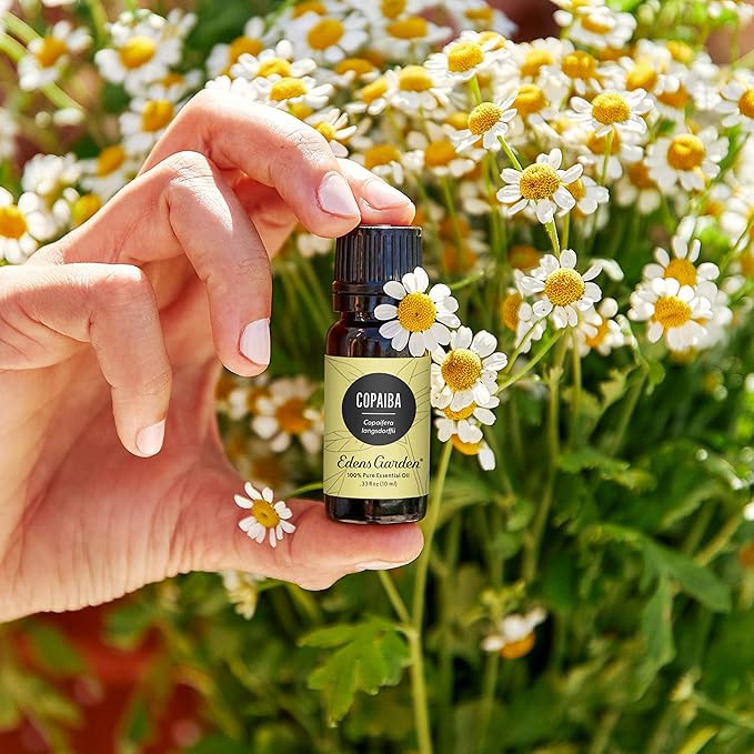 Edens Garden Copaiba Essential Oil- 100% Pure Premium Grade, Undiluted, Natural, Therapeutic, Aromatherapy, The Best for Diffuser, Skin, Face, Hair 30 ml (1 fl oz)