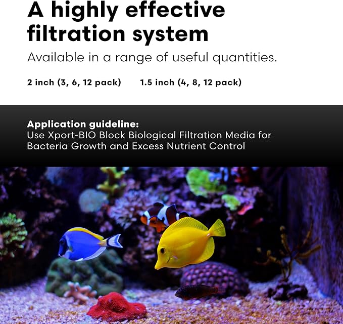 Brightwell Aquatics - Image 5