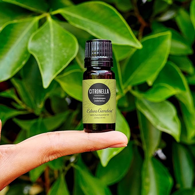 Edens Garden Citronella Essential Oil- 100% Pure Premium Grade, Undiluted, Natural, Therapeutic, Aromatherapy, The Best for Diffuser, Skin, Candle, Kid Safe 30 ml (1 fl oz)