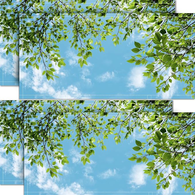 4 Pack 2x4 FT Magnetic Fluorescent Light Covers, Ceiling Light Filters by seewan