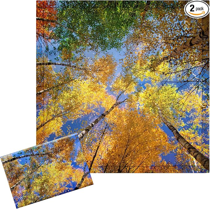 Baquler 2 Pcs 2 x 2 ft Fluorescent Light Covers by Baquler