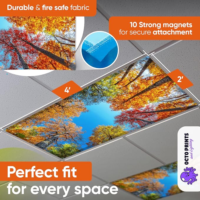 Fluorescent Light Covers for Ceiling Lights - Image 2