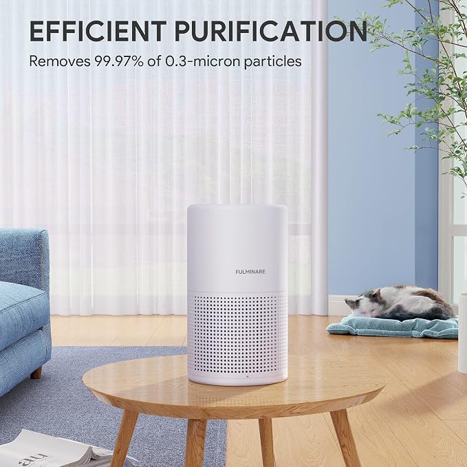 Air Purifiers for Bedroom, FULMINARE H13 True HEPA Air Filter, Quiet Air Cleaner - Image 7