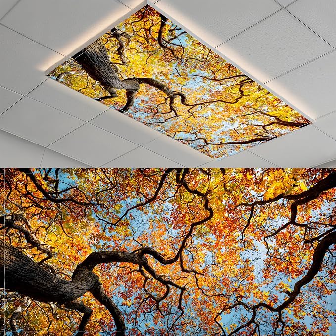 2 Pack Fluorescent Light Covers- 4 x 2 Feet Magnetic Ceiling Light Cover Room by BSFHH