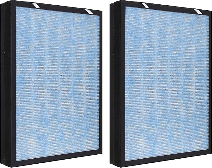 HSP002 Replacement Filter, 2 Pack Compatible by Hichoryer