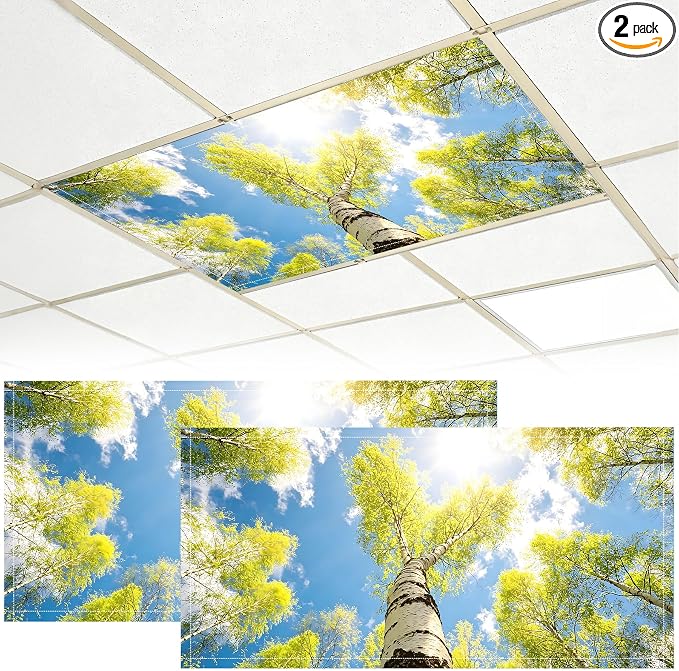2 Pack Fluorescent Light Covers by BVBOX