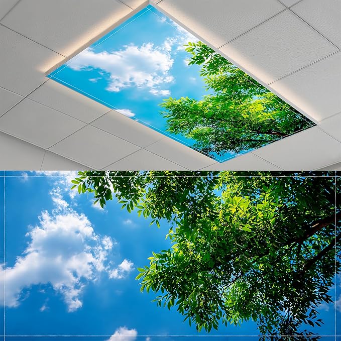 2 Pack Fluorescent Light Covers- 4 x 2 Feet Magnetic Ceiling Light Cover Room by BSFHH