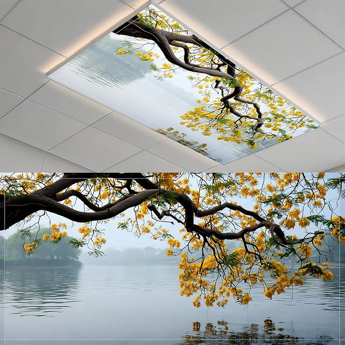 2 Pack Fluorescent Light Covers- 4 x 2 Feet Magnetic Ceiling Light Cover Room by BSFHH