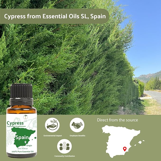 Cypress Essential Oil - Direct from Essential Oils SL in Mediterranean Spain - Aceite de Ciprés for Diffuser, 100% Pure Therapeutic Grade - Aromatheraphy, Skincare (2lbs)