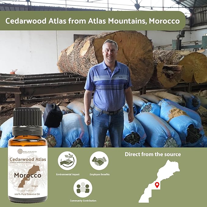 Pure Cedarwood (Atlas) Essential Oil (15ml) - Direct from Malagassi Essential Oils Farm in Morocco - Essential Oils for Diffusers and Aromatherapy | Pure Therapeutic Grade