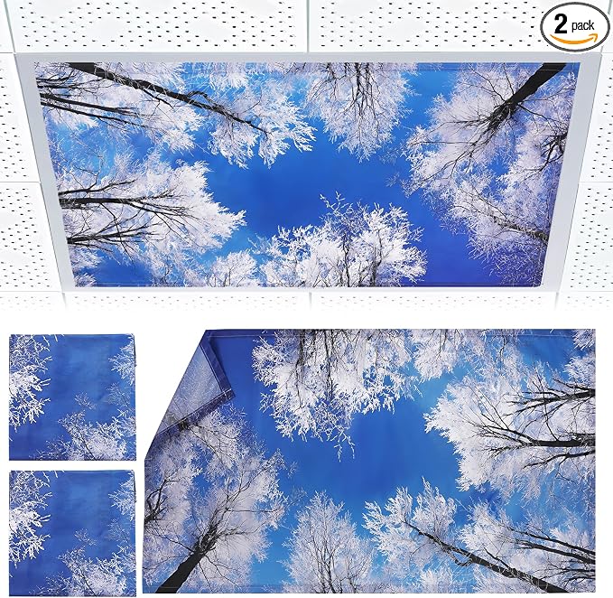 Torixqi 2pcs Fluorescent Light Covers by Torixqi