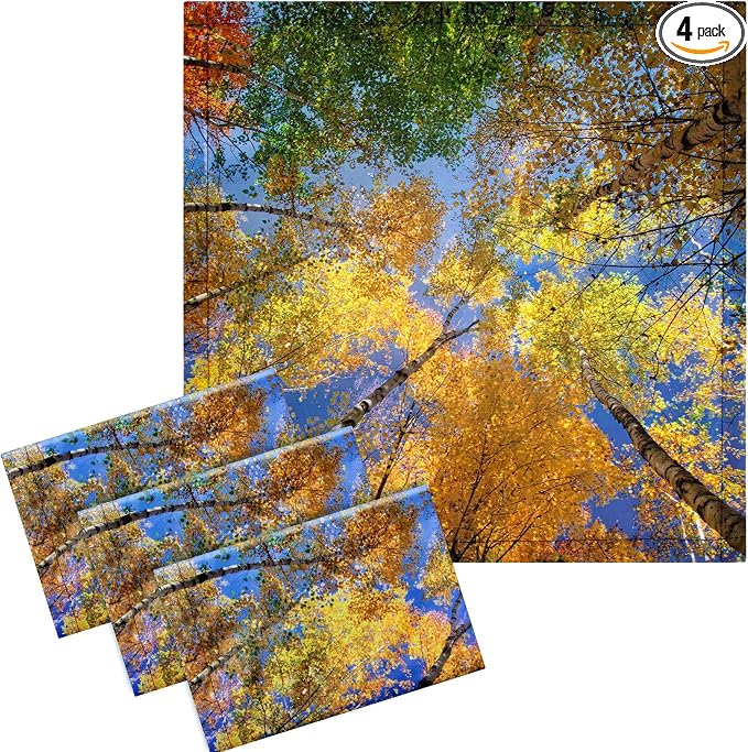 VIHOSE 4 Pcs 2 x 2 Feet Fluorescent Light Covers by VIHOSE