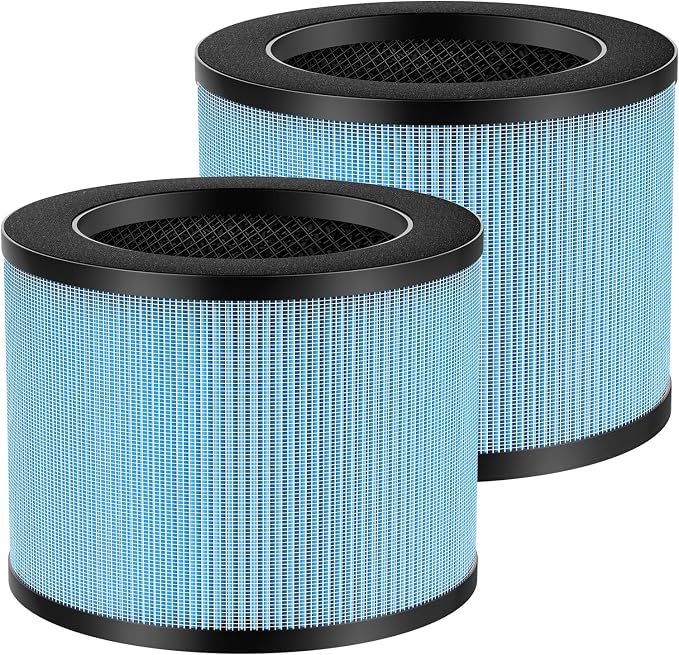 2-Pack F100 Filter Compatible by RefreshYourHome