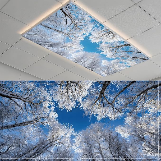 2 Pack Fluorescent Light Covers- 4 x 2 Feet Magnetic Ceiling Light Cover Room by BSFHH
