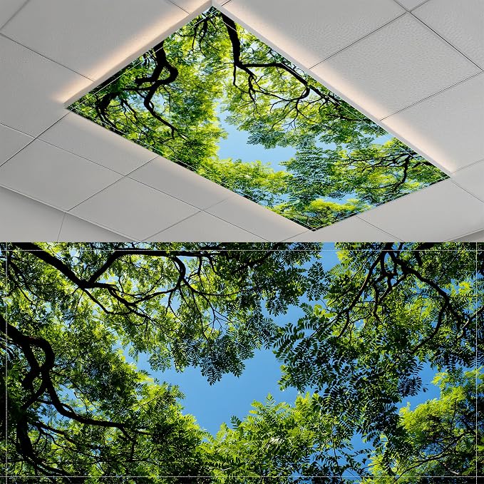 2 Pack Fluorescent Light Covers- 4 x 2 Feet Magnetic Ceiling Light Cover Room by BSFHH