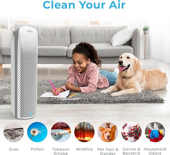 Pure Enrichment PureZone Elite Air Purifier and Filter Bundle - Image 3