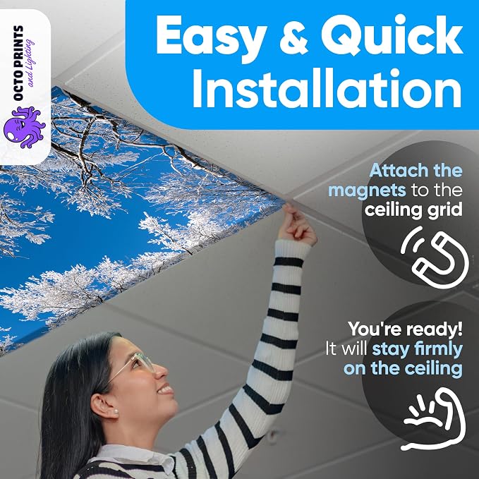 Fluorescent Light Covers for Ceiling Lights - Image 6