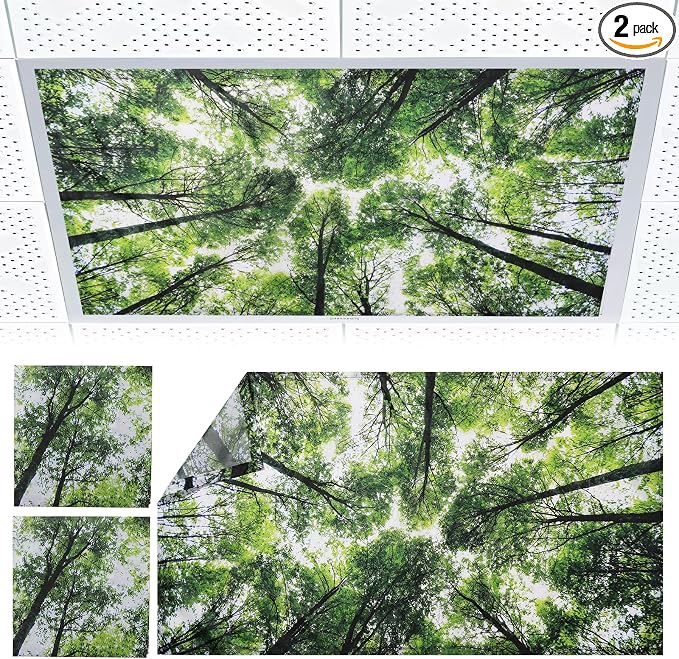 Torixqi 2pcs Fluorescent Light Covers by Torixqi