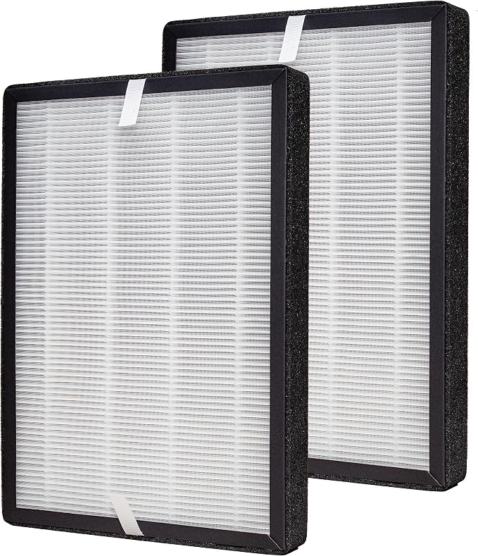 2-Pack True HEPA GL-FS32 Filter, Compatible by Lhari